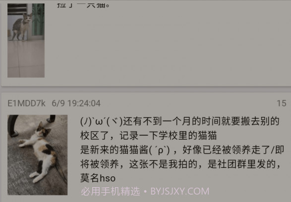 ACGN社区v1.5.22截图