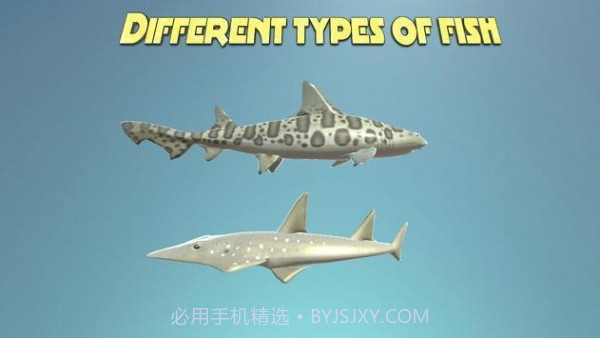 真正的鲨鱼模拟器1.18截图