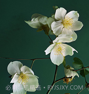小米澎湃OS主题软件v1.5.14截图