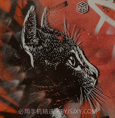 lr壁纸大全v1.15截图