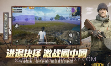 和平精英印度服v1.14.18截图