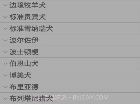 这是什么狗v1.0.21截图