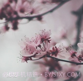 形色植物识别v3.14.18截图