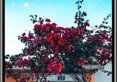 纸塘壁纸高级版v1.6.23截图