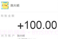 支付宝转账截图生成器软件V1.13截图