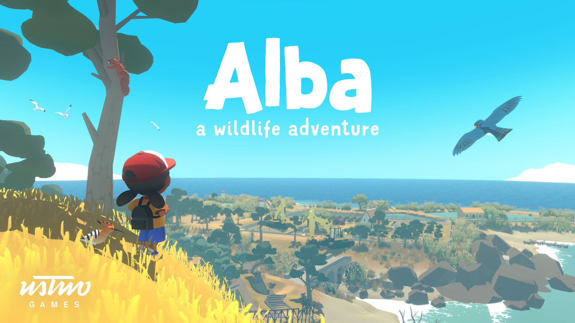 Alba A Wildlife Adventurev1.41截图