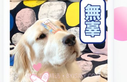 抖音投屏版v23.7.15截图