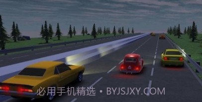 疯狂的赛车司机v0.22截图