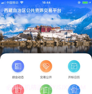 西藏公共资源交易平台v1.0.18截图