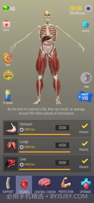 放置人类v1.3.21截图