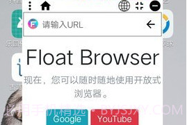 Float悬浮浏览器APPV1.14截图