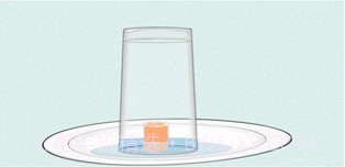 科学活动v1.0.18截图