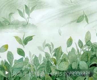 Sora视频生成器v1.16截图