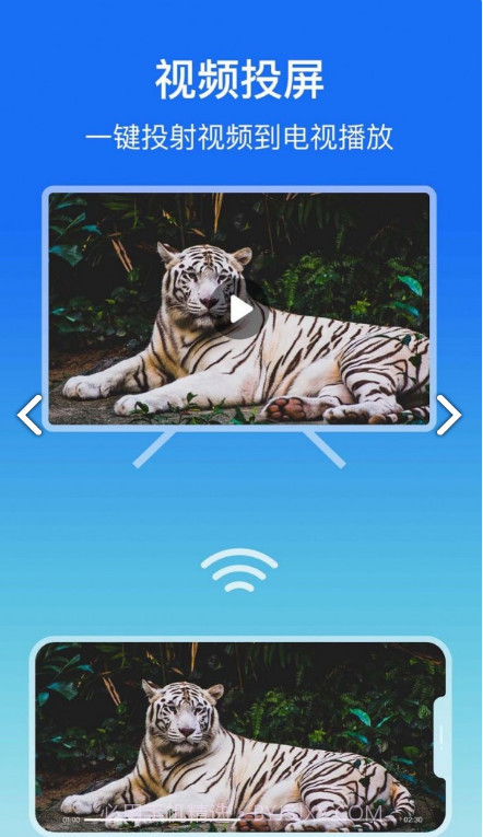 lbtp屏幕镜像手机版1.0.1截图
