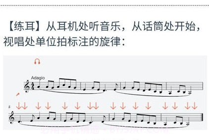 山东音协考级v1.0.16截图