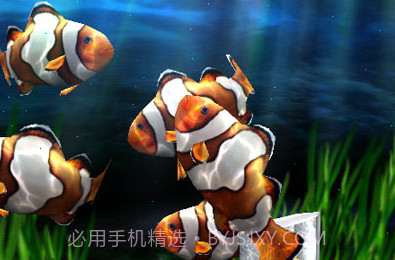 3d水族馆动态壁纸v5.6.16截图