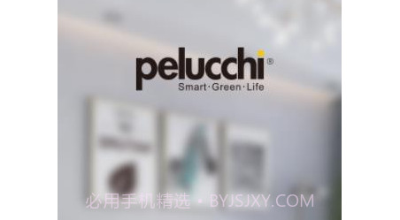 派洛奇智控v1.0.20截图