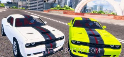 真正的汽车漂移模拟器v1.21截图