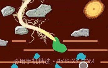 Take RootV1.18截图