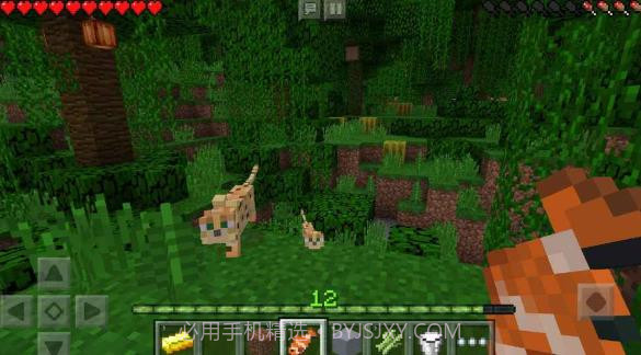 我的世界贝爷极限生存模组v1.17.5.16截图