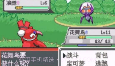 宝可梦极夜永昼v1.21截图