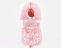 life生命模拟器汉化版v1.1.19截图