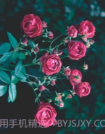 易压缩v1.1.16截图