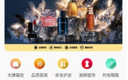 多米跨境电商v1.1.21截图