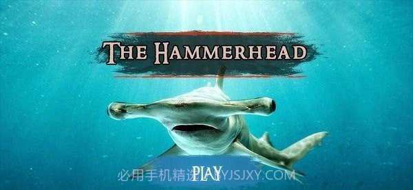 锤头鲨模拟器3dv1.0.22截图