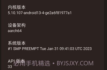 KingSUAPPv3.18截图