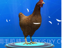 疯狂压路鸡v1.16截图