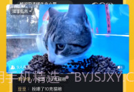 哈啰街猫手机版V1.0.16截图