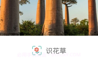 识花草v1.0.22截图