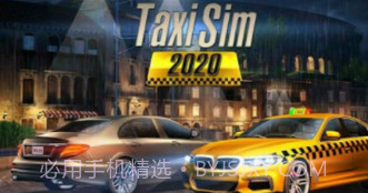 出租车驾驶模拟器v1.0.20截图