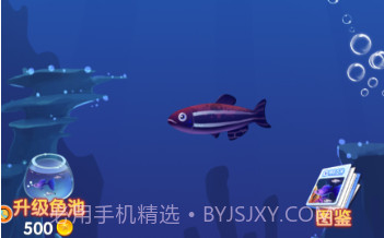 大鱼吞噬之路v3.4.17截图