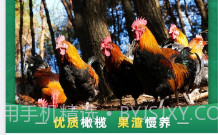 谷农生态v1.0.21截图