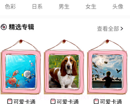 玉桂狗壁纸v1.21截图