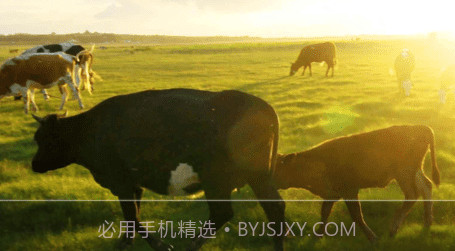 新牛智能v3.23截图