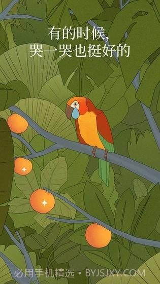 孤独的鸟儿v2.3.25截图