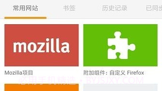 FlashFoxV44.16截图