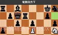 国际象棋下载免费版v1.18截图