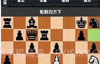 国际象棋下载官网免费v1.17截图