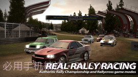 拉力赛2Rush Rally 21.0.18截图