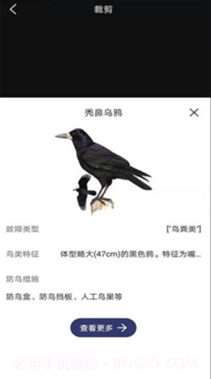 图音识鸟2.0.20截图