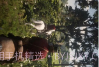 骑马狩猎模拟v1.21截图