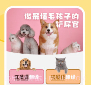 喵喵猫狗翻译器v1.19截图