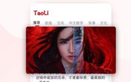 TaoLi1.6.20截图