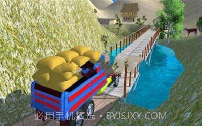 货物印度人卡车3Dv1.20截图