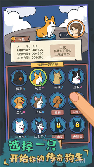 狗生模拟器国际版1.0.9截图