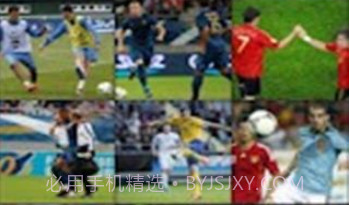 fifa12欧洲杯2012v1.8.22截图